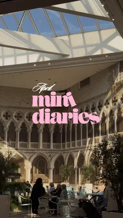 Mini Diaries