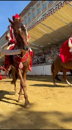 Palio di Asti 