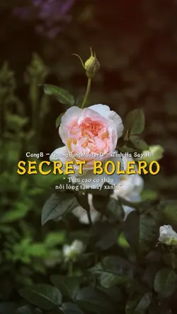 SECRET BOLERO 