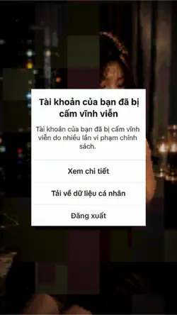 TROLL TIKTOK