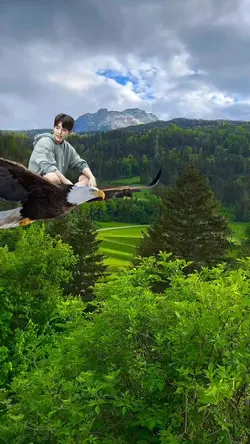 fly