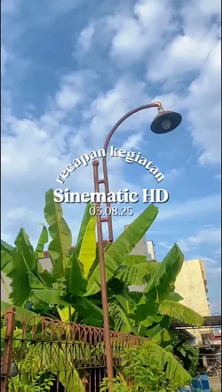 SINEMATIK 25 VIDEO 