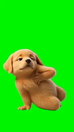 YOU Dancing Dog