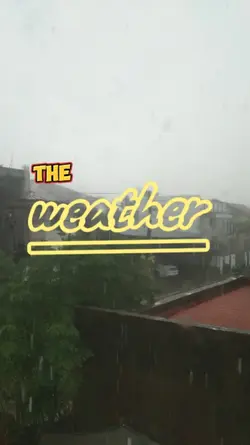 forecast