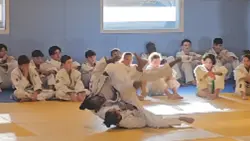 stage de judo 