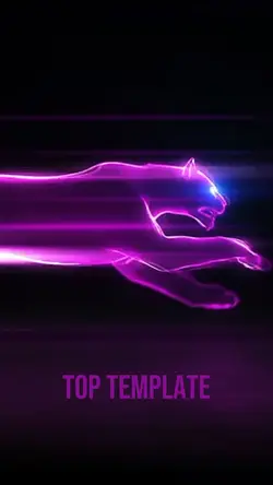 Panther Intro Top