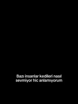 Kediler çok tatlıs