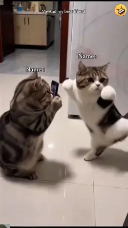 Funny Dance Trend