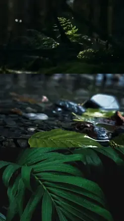 Nature Vibes
