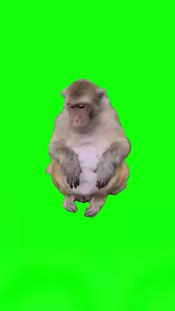 Monkey Gagging