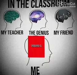 my brain