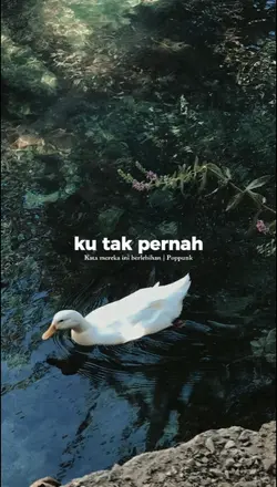 poppunk benadya