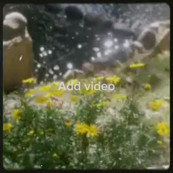 from a GOT edit