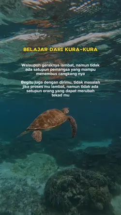 bljar dari kura-kura