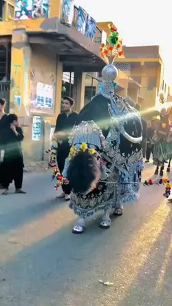 ashora viral