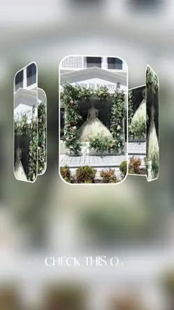 Wedding clothes