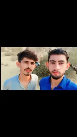 Kis sy koi talk ni