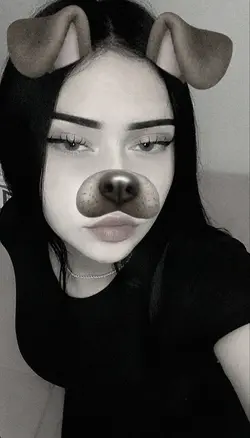dog filter