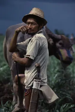 tatak du-30