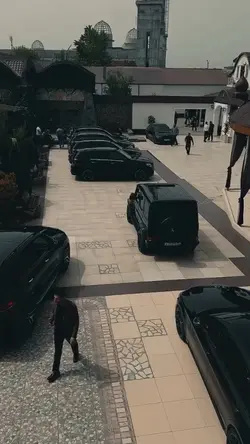 MAFIA style