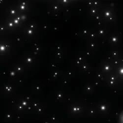 Free Rl Edit 4K