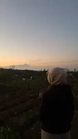 sunrise view