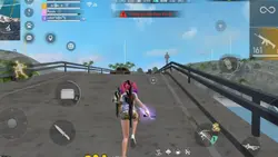 1 ảnh FF