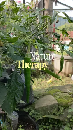 Nature Therapy 