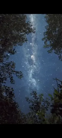 bintang