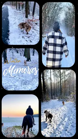 Grid Winter ❄️
