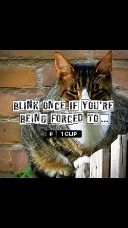 Blink once if