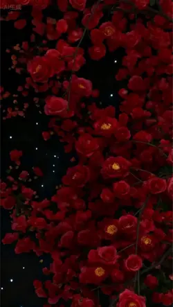 3D Wallpaper
