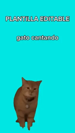 Gato cantando