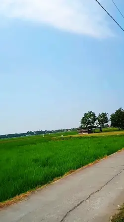 wahai sahabatku 
