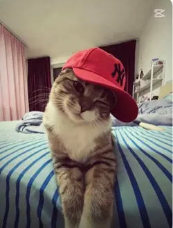 LÜTFENNN TAKİP EDİN