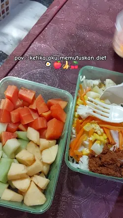 diet journey