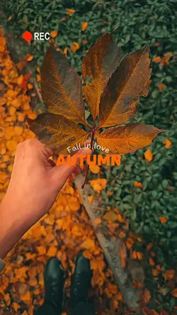 Fall in love Autumn