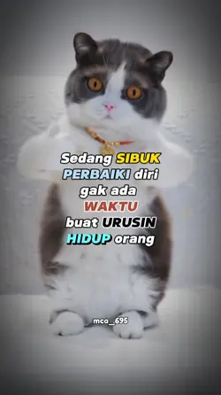 mentahan  kucing 
