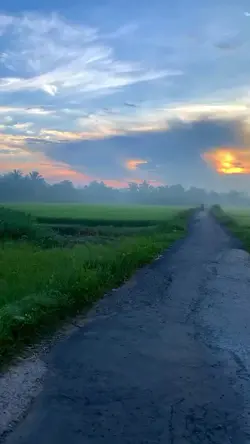 Tình Ka 1 ảnh 