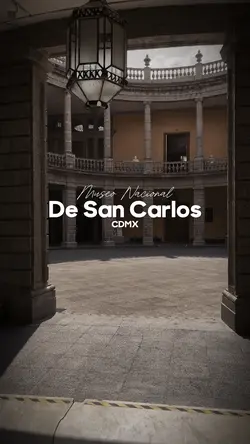 MUSEO DE SAN CARLOS 