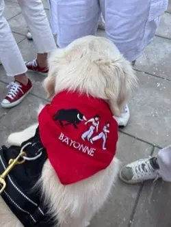 Fêtes de Bayonne