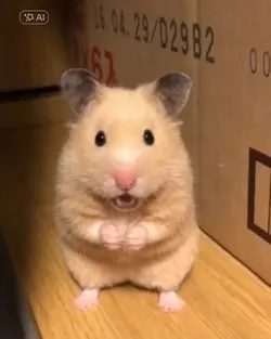 Hamster Lip Sync 