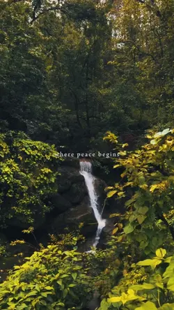 Where peace begins 