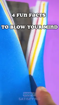 4 fun facts