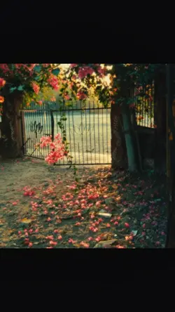 aesthetic