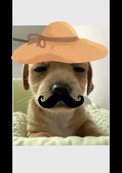 dầu pho ọ lín ghin=)
