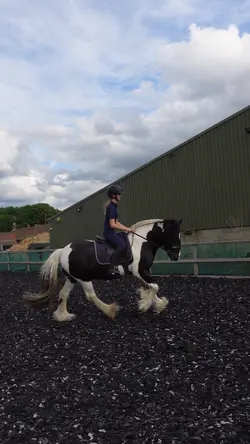 Dressage!