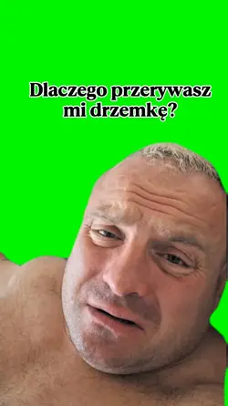 Skrzypas i drzemka