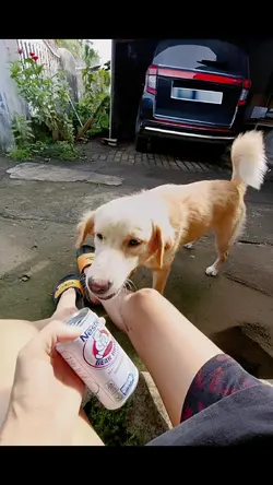 where'd you go