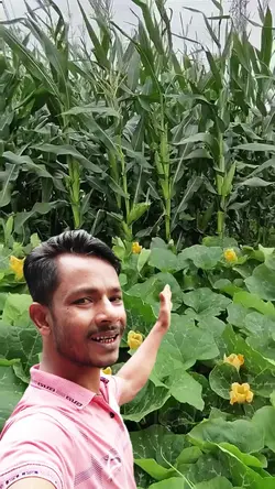 মাশাল্লাহ দেখেন